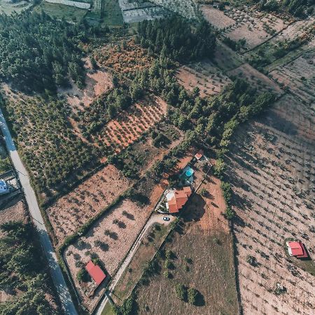 Lugar dos Vales-Memorável, Encantador e Autêntico! Mirandela Esterno foto
